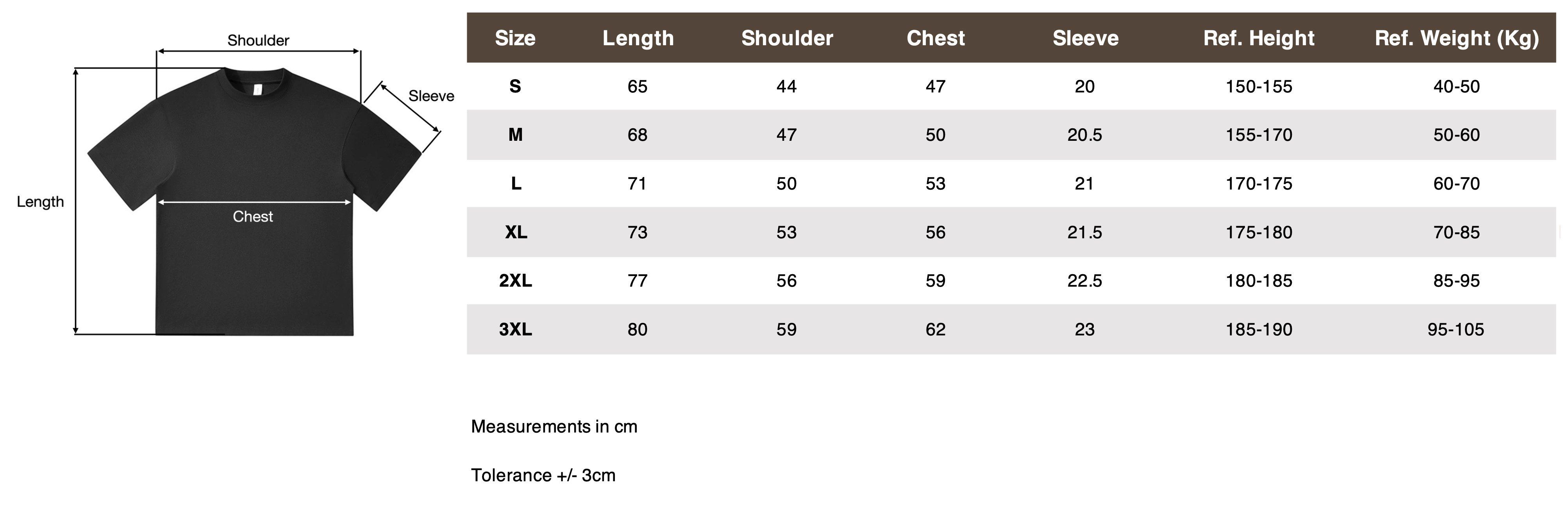 AIRLAB Colite Cotton Round Neck T-Shirt. - Detail 1